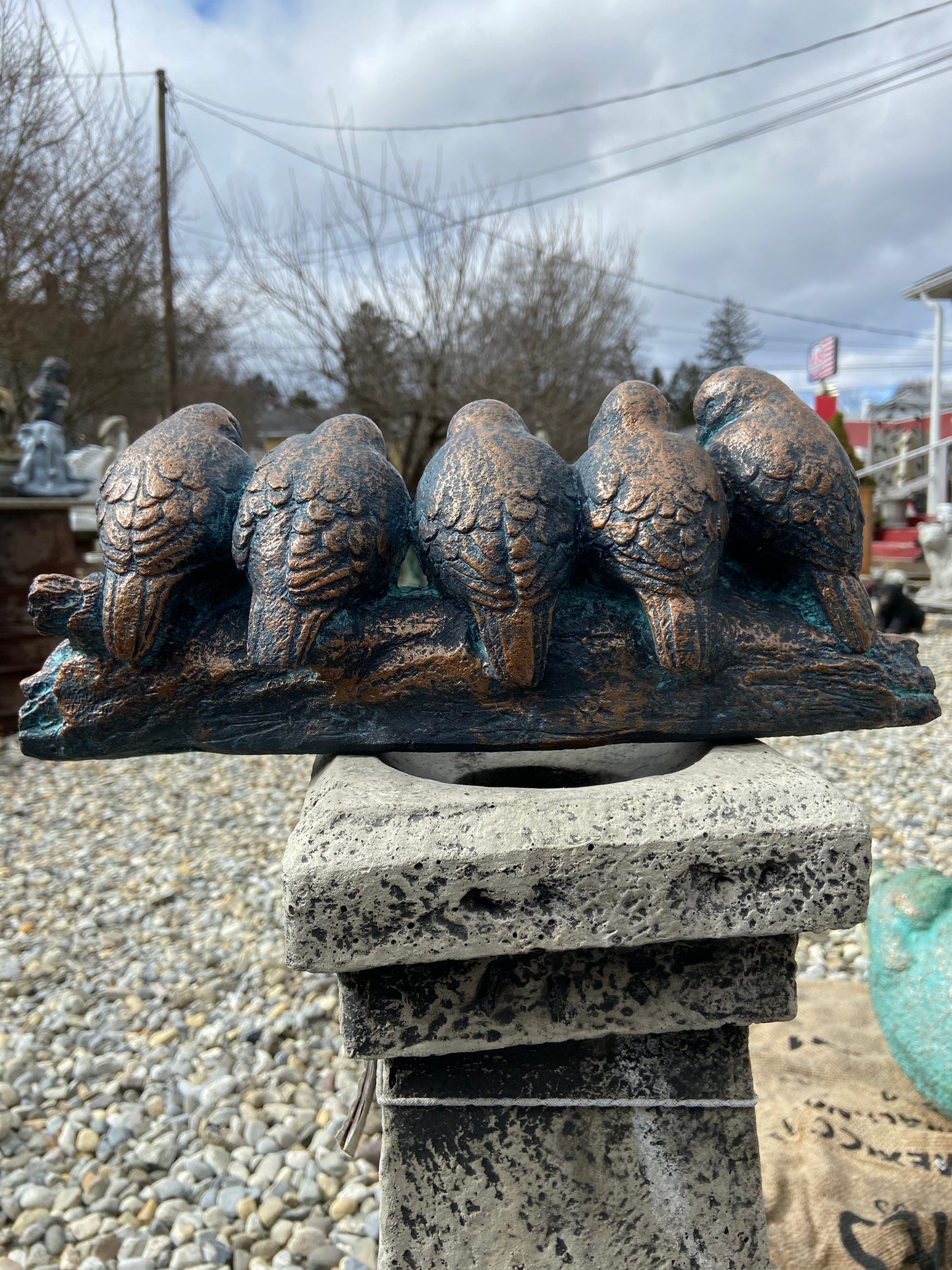 Birds on Log