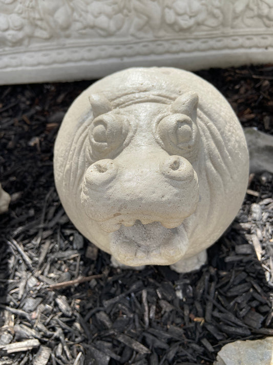 Hippo