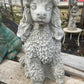 Poodle