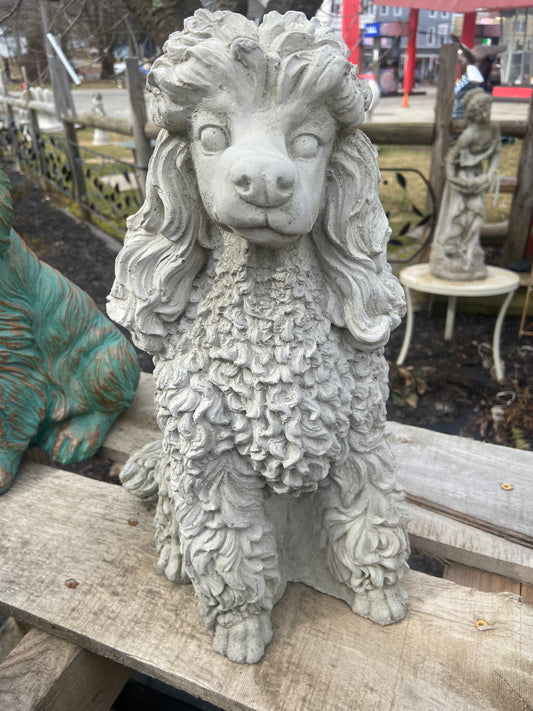 Poodle