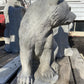 Sitting Bear