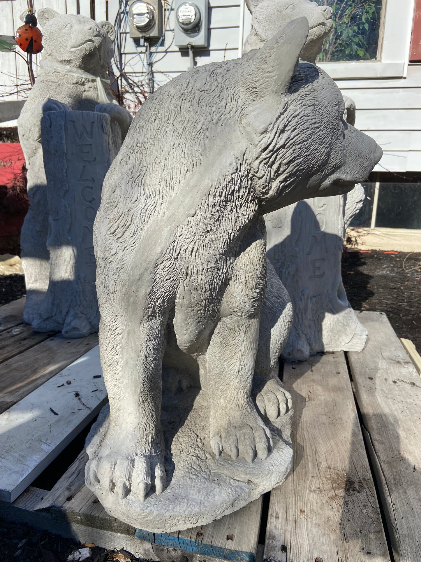 Sitting Bear