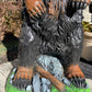 Gentle Ben