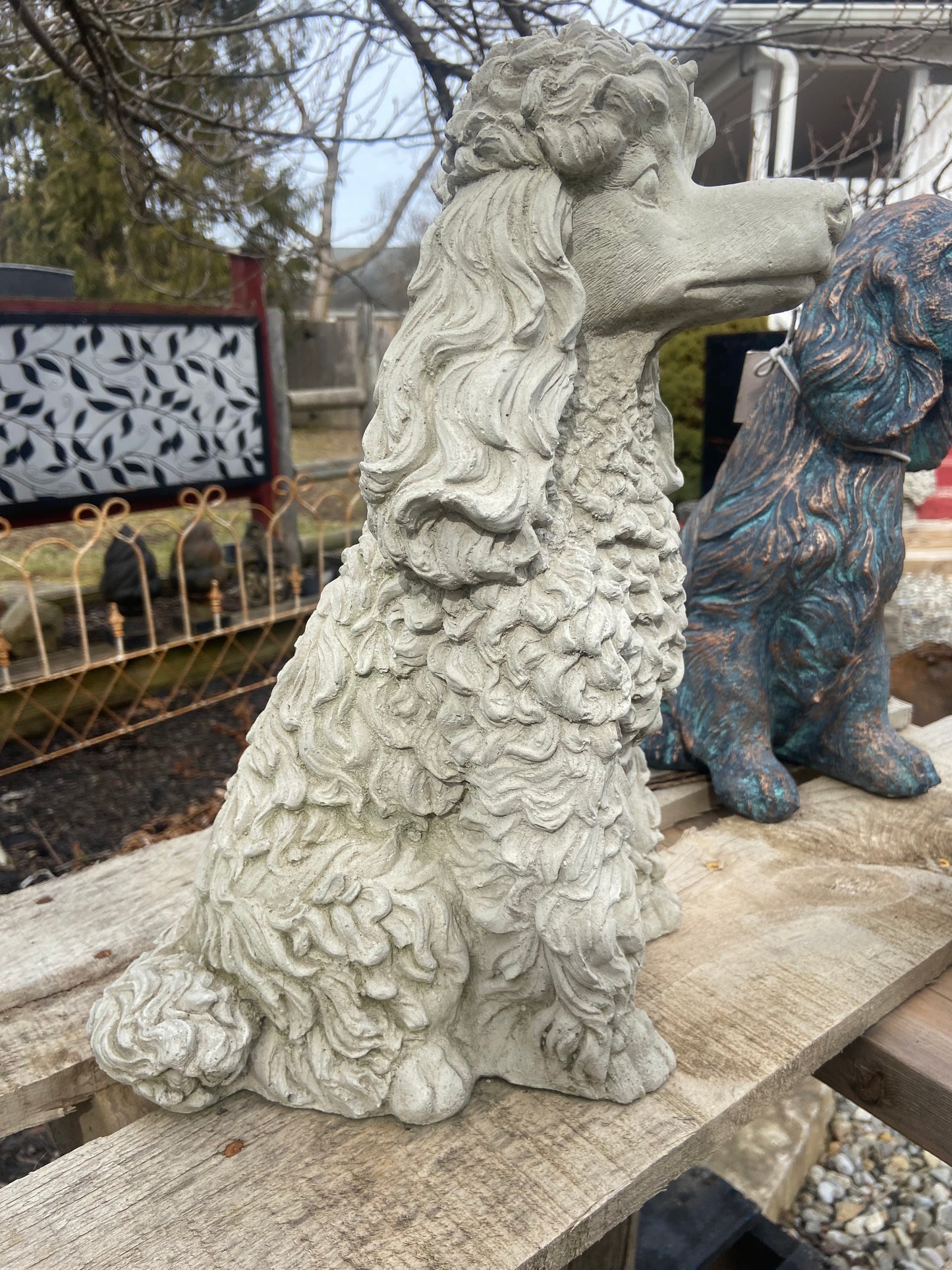 Poodle