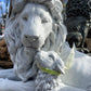 Lion & Lamb 13” Tall Statue