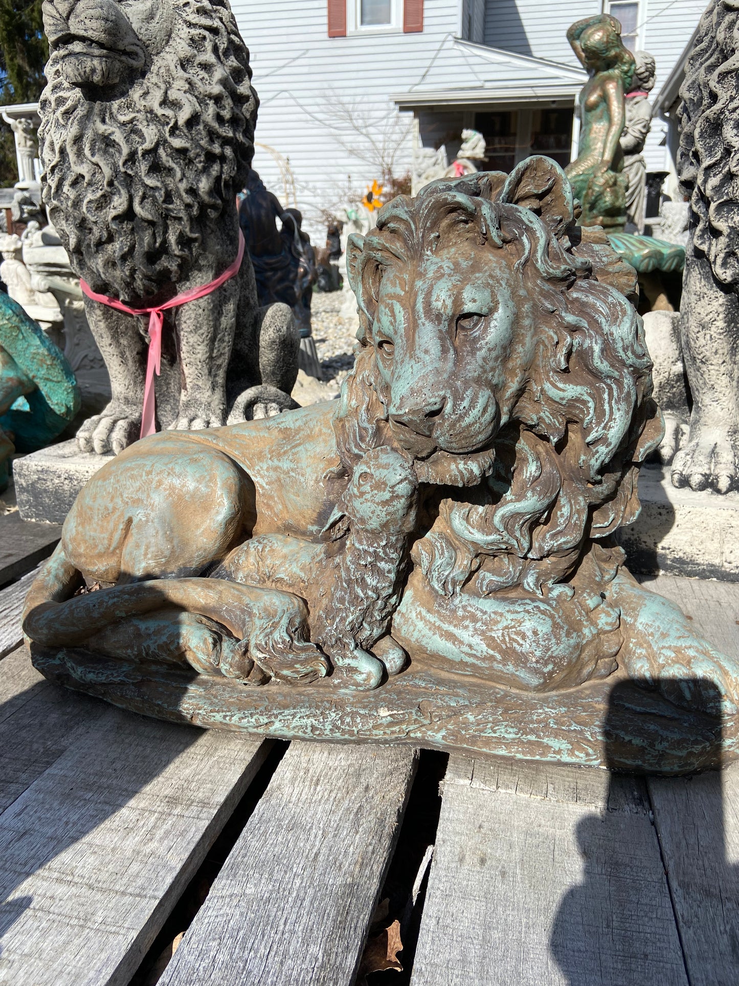 Lion & Lamb