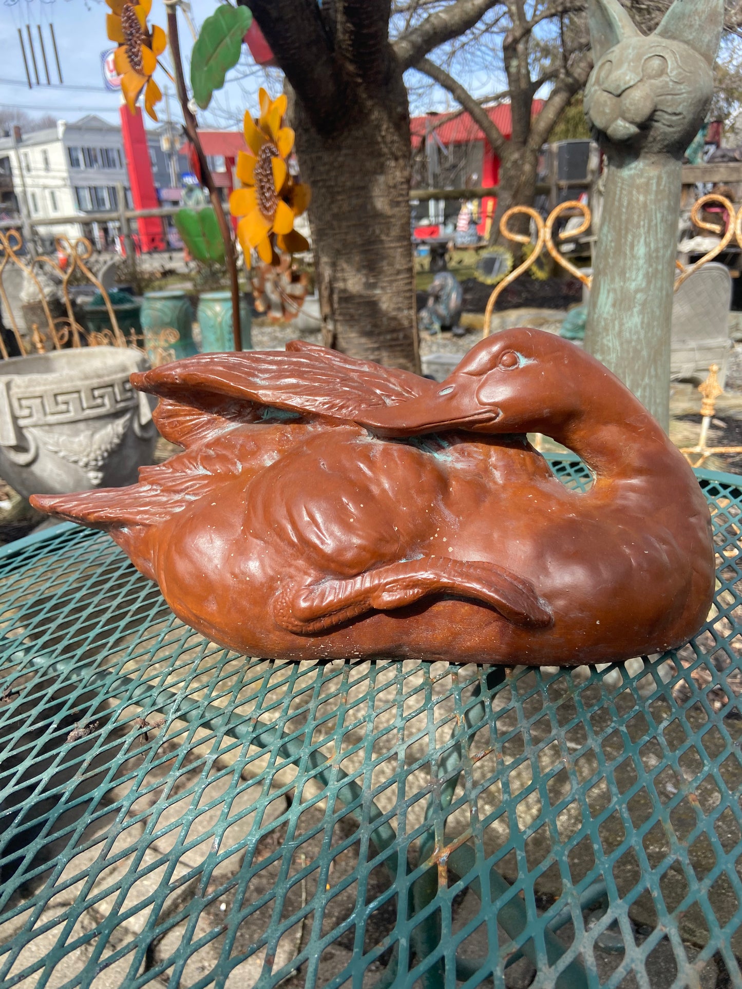 Elegant Duck