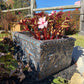Square Hummingbird Planter