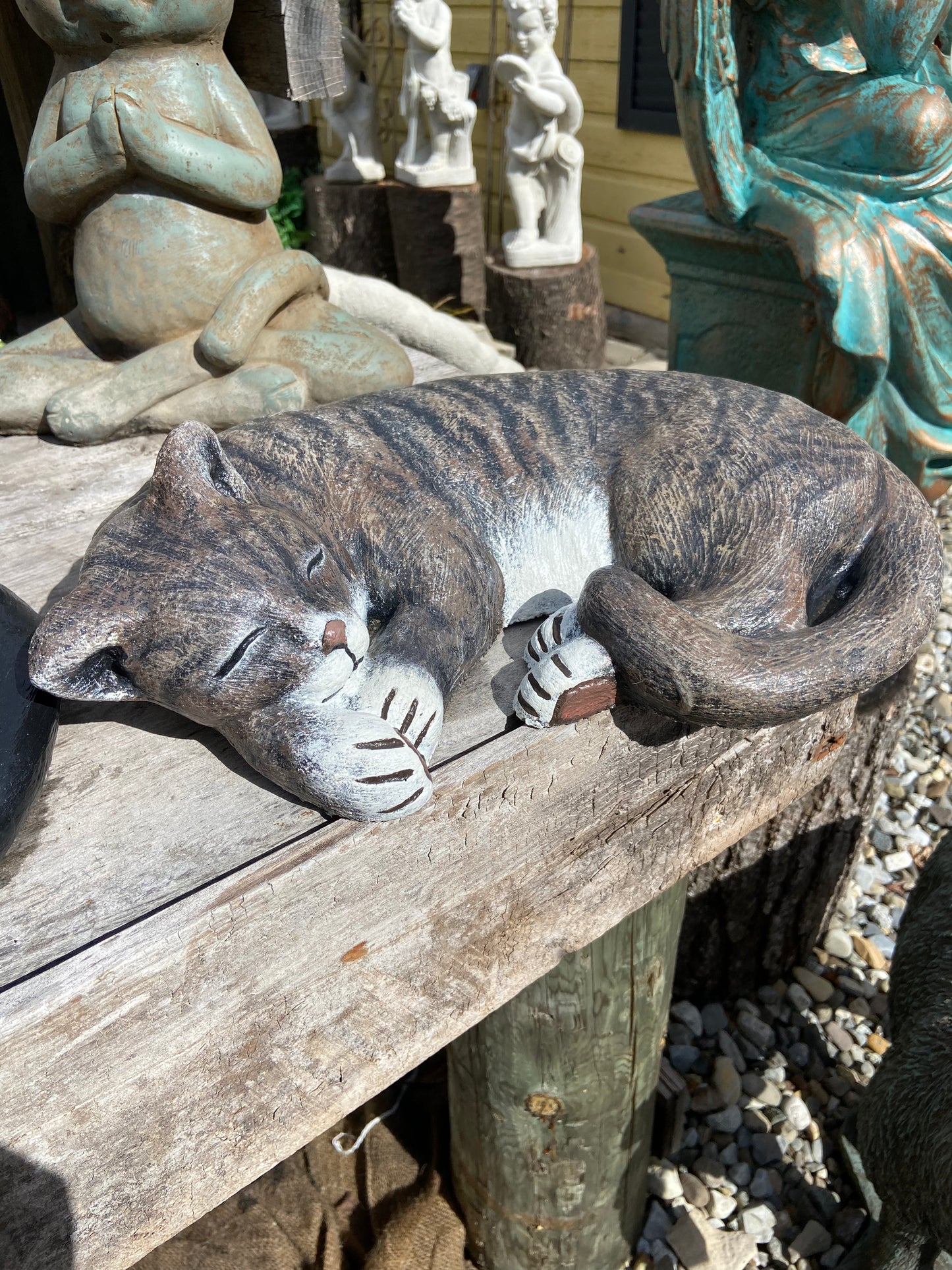 Laying Cat