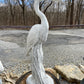 Large Heron