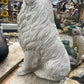Collie