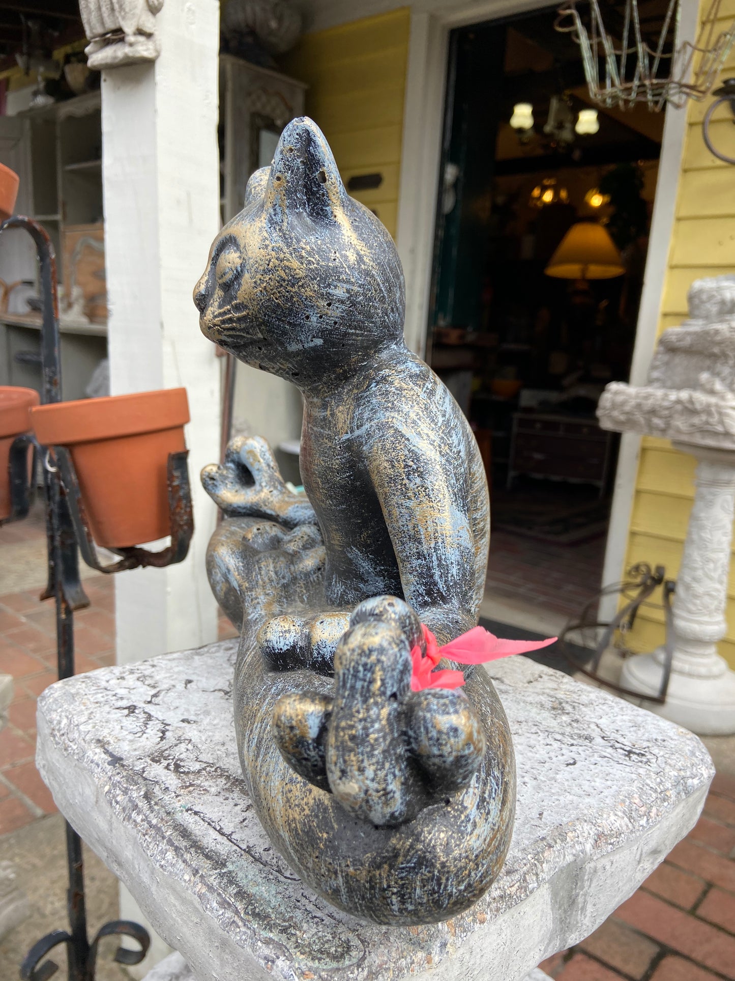 Zen Cat