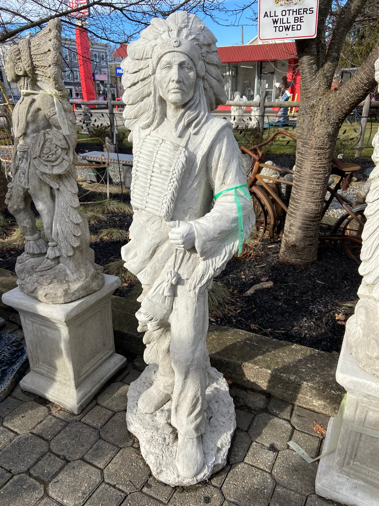 Chief Indian