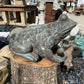 Large Toad