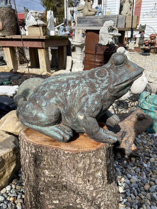 Large Toad