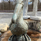 Pelican